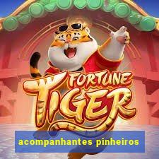 acompanhantes pinheiros